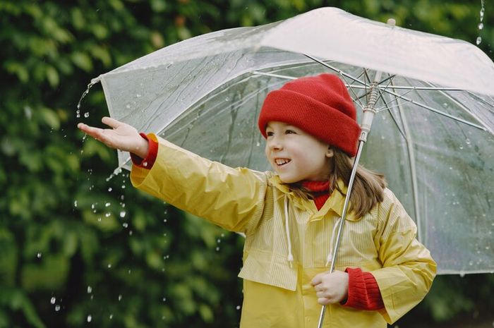 https://japanchildrenrights.org/